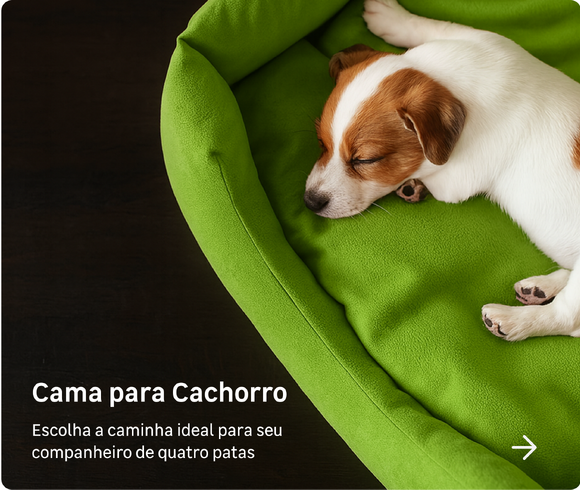Pets cachorro